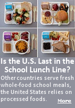 A few decades ago, many U.S. school cafeterias prepared meals from scratch for hundreds of students each day. As years passed, some kitchen staff watched fresh ingredients like flour and eggs disappear, replaced by boxes of pre-packaged, processed foods.